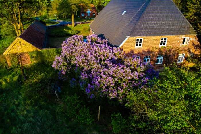 LUR2021_3021 | Bauernhof / Mühle /Reiterhof, Event-Location – Bild 14