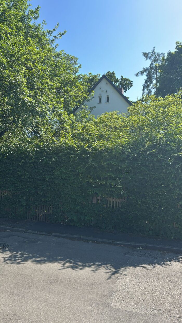 LUR2021_3203 | Garten / Park, Haus (EFH, DHH, Reihenhaus) – Bild 13