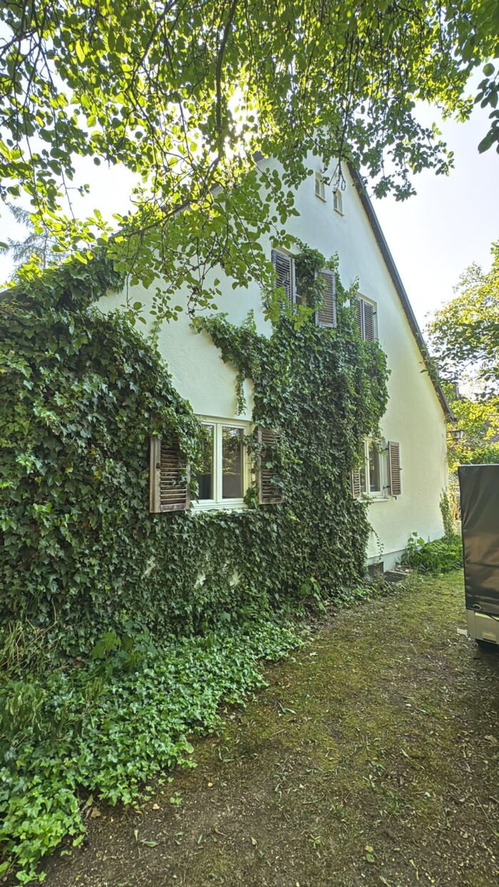 LUR2021_3203 | Garten / Park, Haus (EFH, DHH, Reihenhaus) – Bild 15