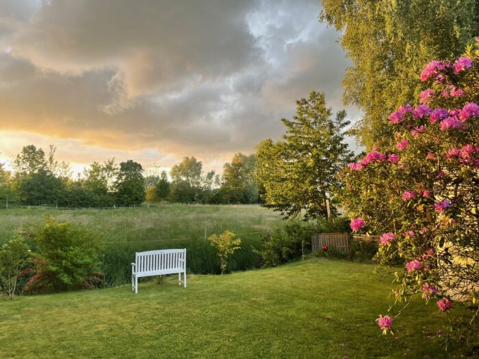 LUR2021_3193 | Garten / Park, Haus (EFH, DHH, Reihenhaus) – Bild 11
