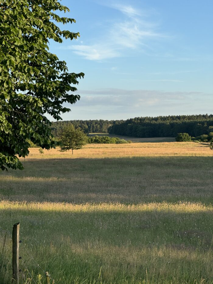 LUR2021_3205 | Bauernhof / Mühle /Reiterhof – Bild 12