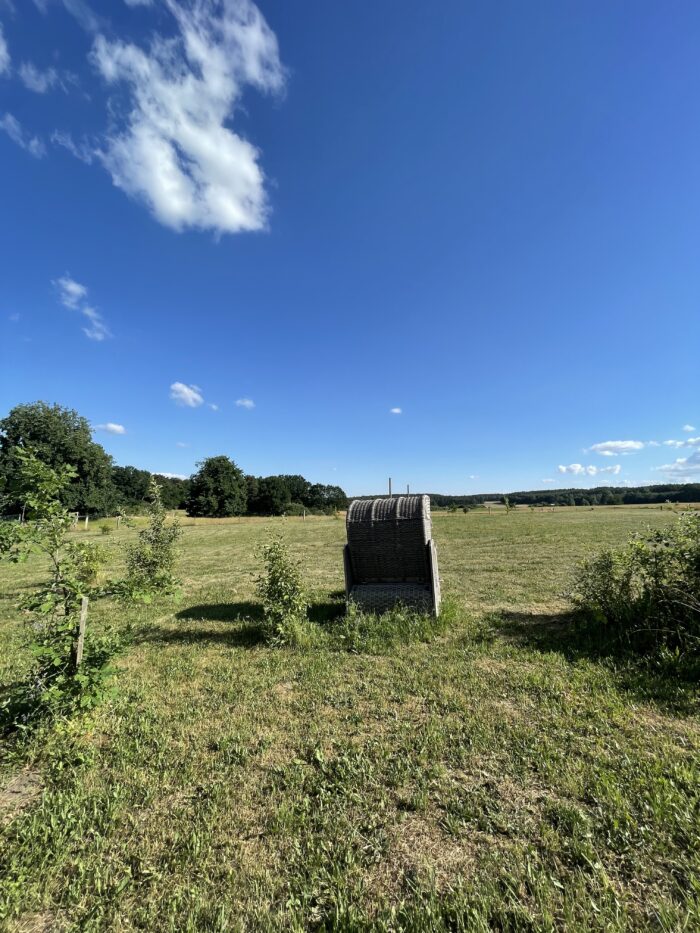 LUR2021_3205 | Bauernhof / Mühle /Reiterhof – Bild 6