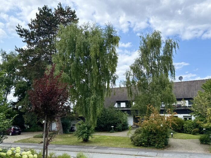LUR2021_3259 | Haus (EFH, DHH, Reihenhaus) – Bild 3