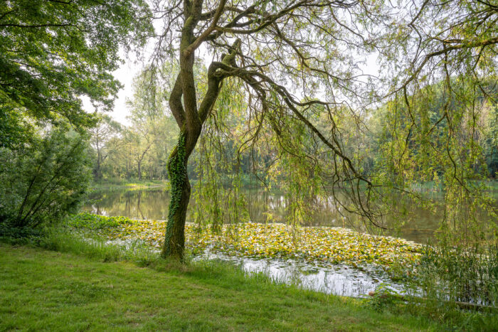 LUR2021_3278 | Cafe / Restaurant / Imbiss, Event-Location, Garten / Park, Hotel / Pension – Bild 6