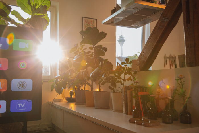 LUR2021_3275 | Loft, Wohnung (Altbau) – Bild 10