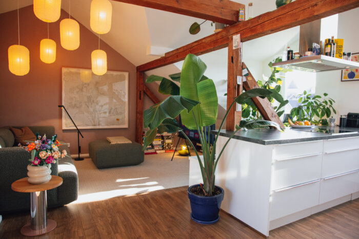 LUR2021_3275 | Loft, Wohnung (Altbau)