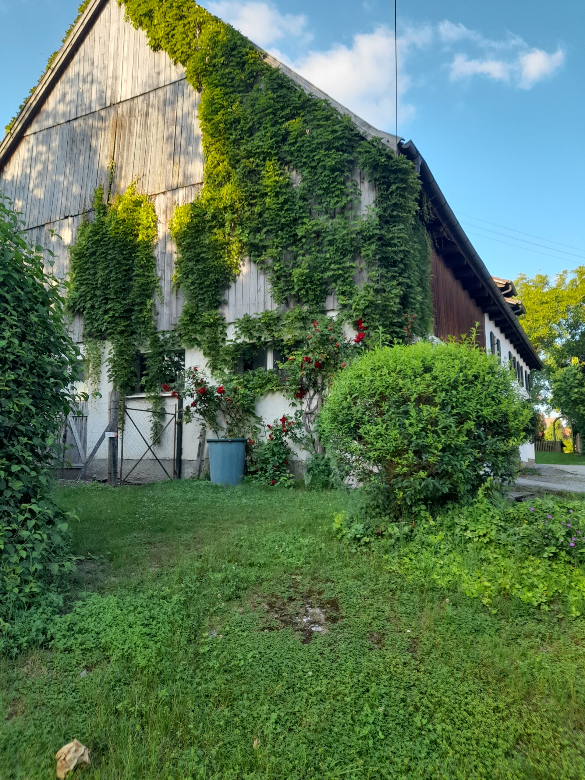 LUR2021_3316 | Haus (EFH, DHH, Reihenhaus), Sonstiges – Bild 7