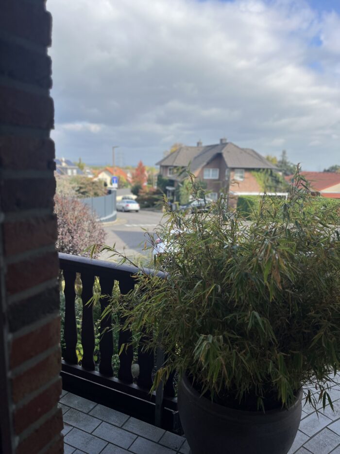 LUR2021_3321 | Haus (EFH, DHH, Reihenhaus) – Bild 20