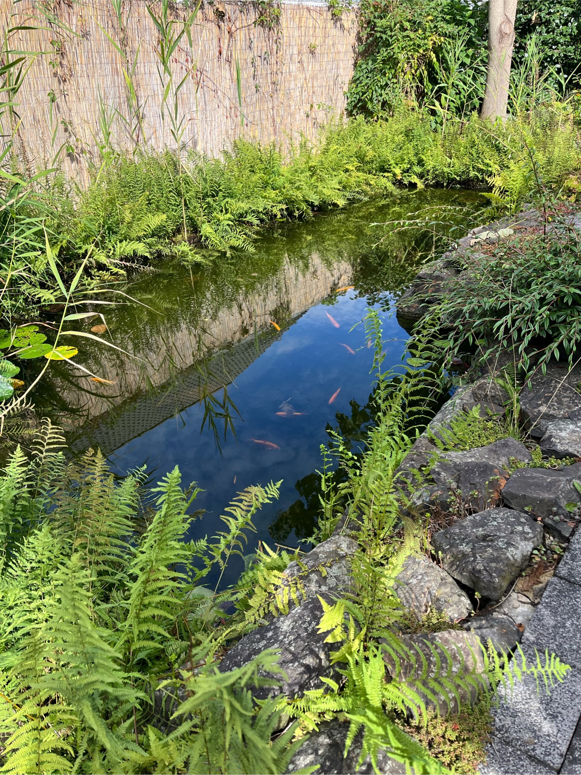 LUR2021_3337 | Haus (EFH, DHH, Reihenhaus) – Bild 5