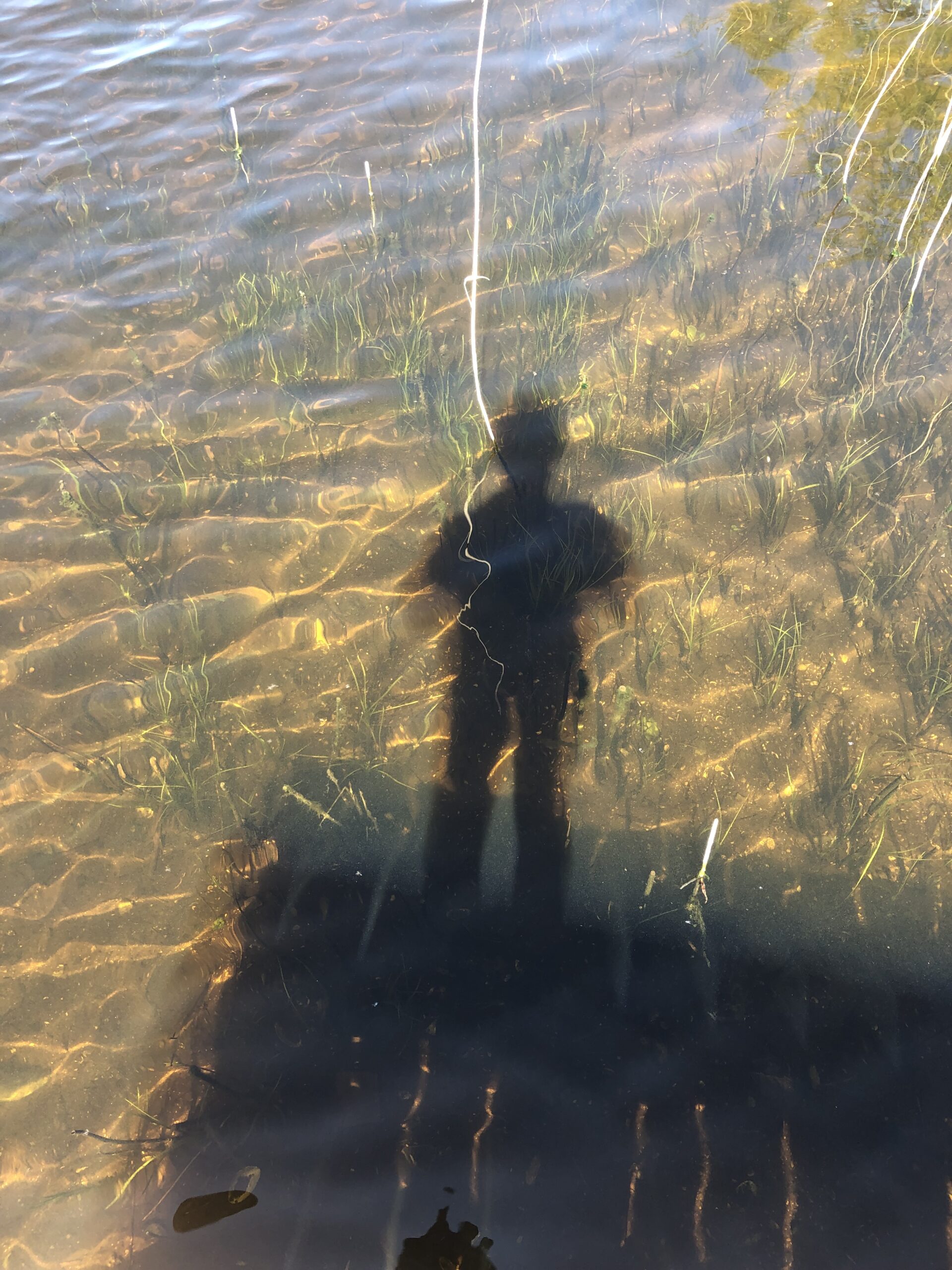 LUR2021_3366 | Bungalow / Hütte / Wochenendhaus, Haus (EFH, DHH, Reihenhaus) – Bild 20