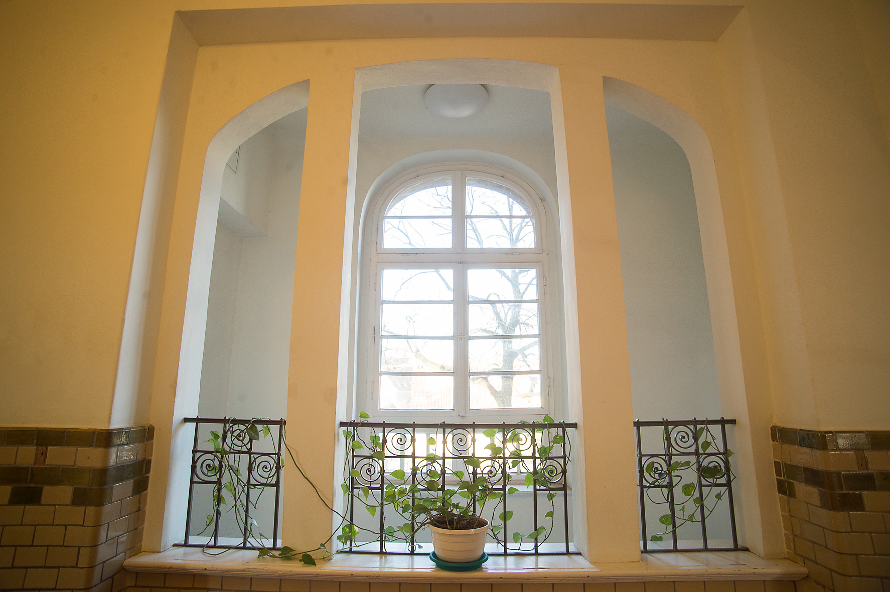 LUR2021_3361 | Kultureinrichtung, Öffentliche Einrichtung, Schule – Bild 5