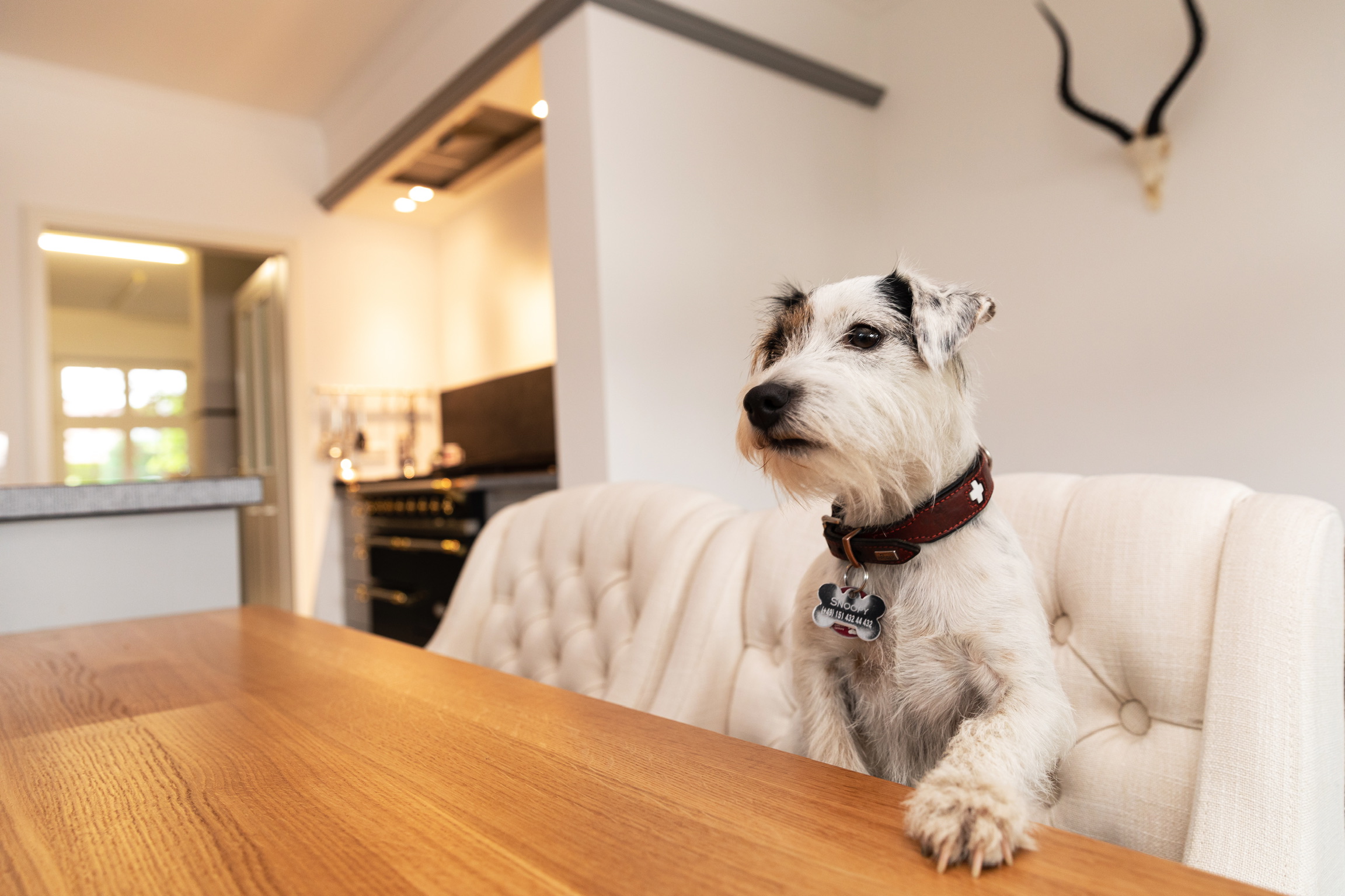 LUR2021_3369 | Garten / Park, Villa – Bild 8