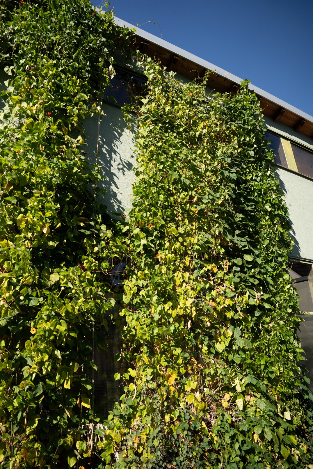 LUR2021_3362 | Büro, Bürogebäude, Halle, Lagerhalle, Studio / Atelier – Bild 9