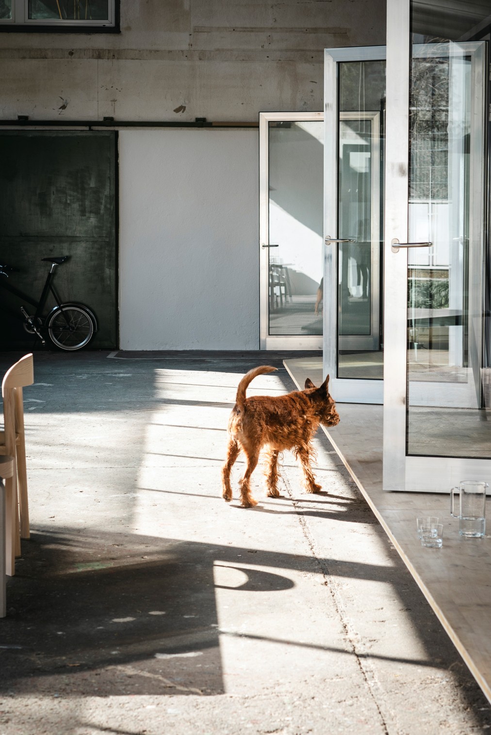 LUR2021_3362 | Büro, Bürogebäude, Halle, Lagerhalle, Studio / Atelier – Bild 4