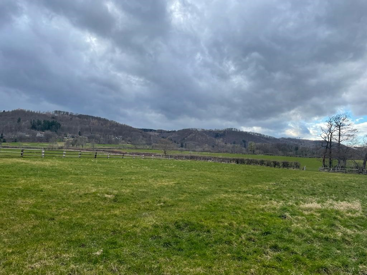 LUR2021_3455 | Bauernhof / Mühle /Reiterhof – Bild 16