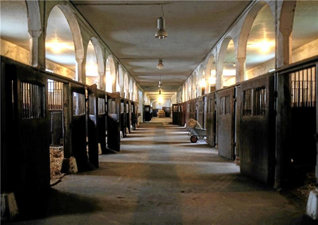 LUR2021_3455 | Bauernhof / Mühle /Reiterhof – Bild 6