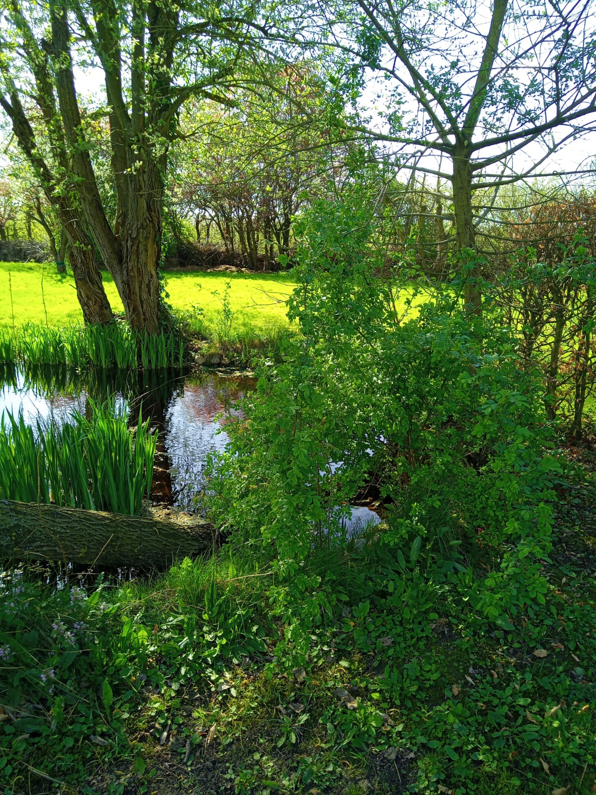 LUR2021_3485 | Bauernhof / Mühle /Reiterhof – Bild 17