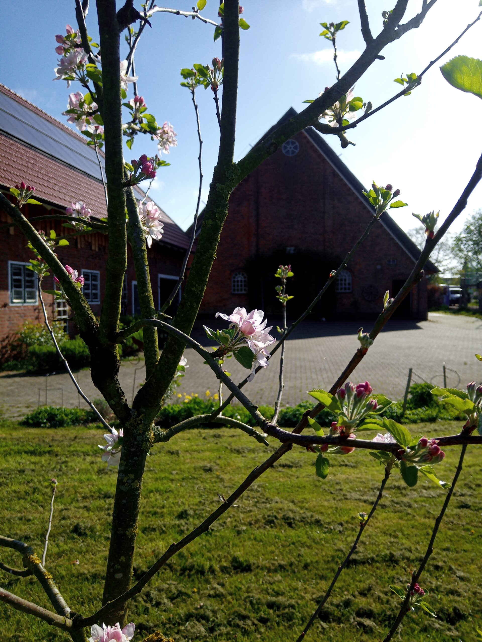 LUR2021_3485 | Bauernhof / Mühle /Reiterhof