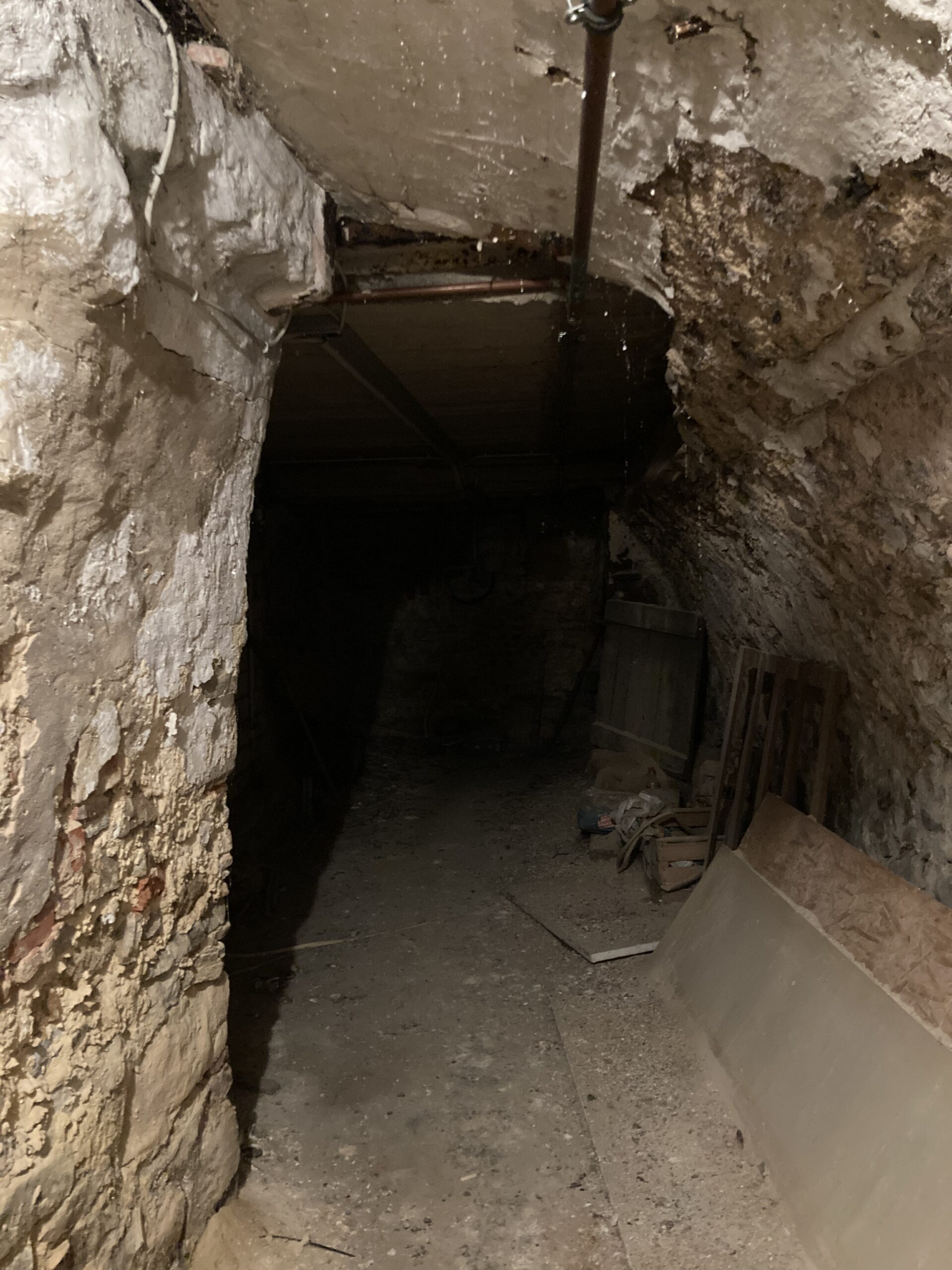 LUR2021_3487 | Haus (EFH, DHH, Reihenhaus), Ruine / Lost place, Wohnung (Altbau) – Bild 11