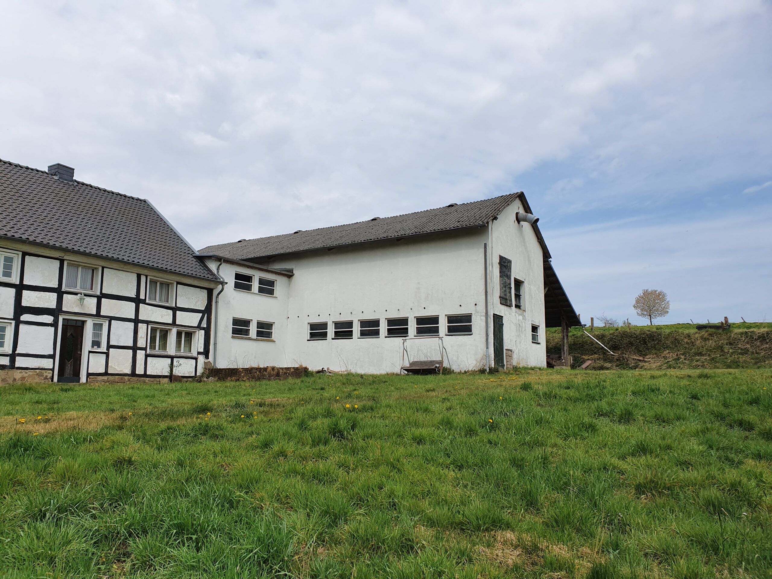 LUR2021_3505 | Bauernhof / Mühle /Reiterhof – Bild 6