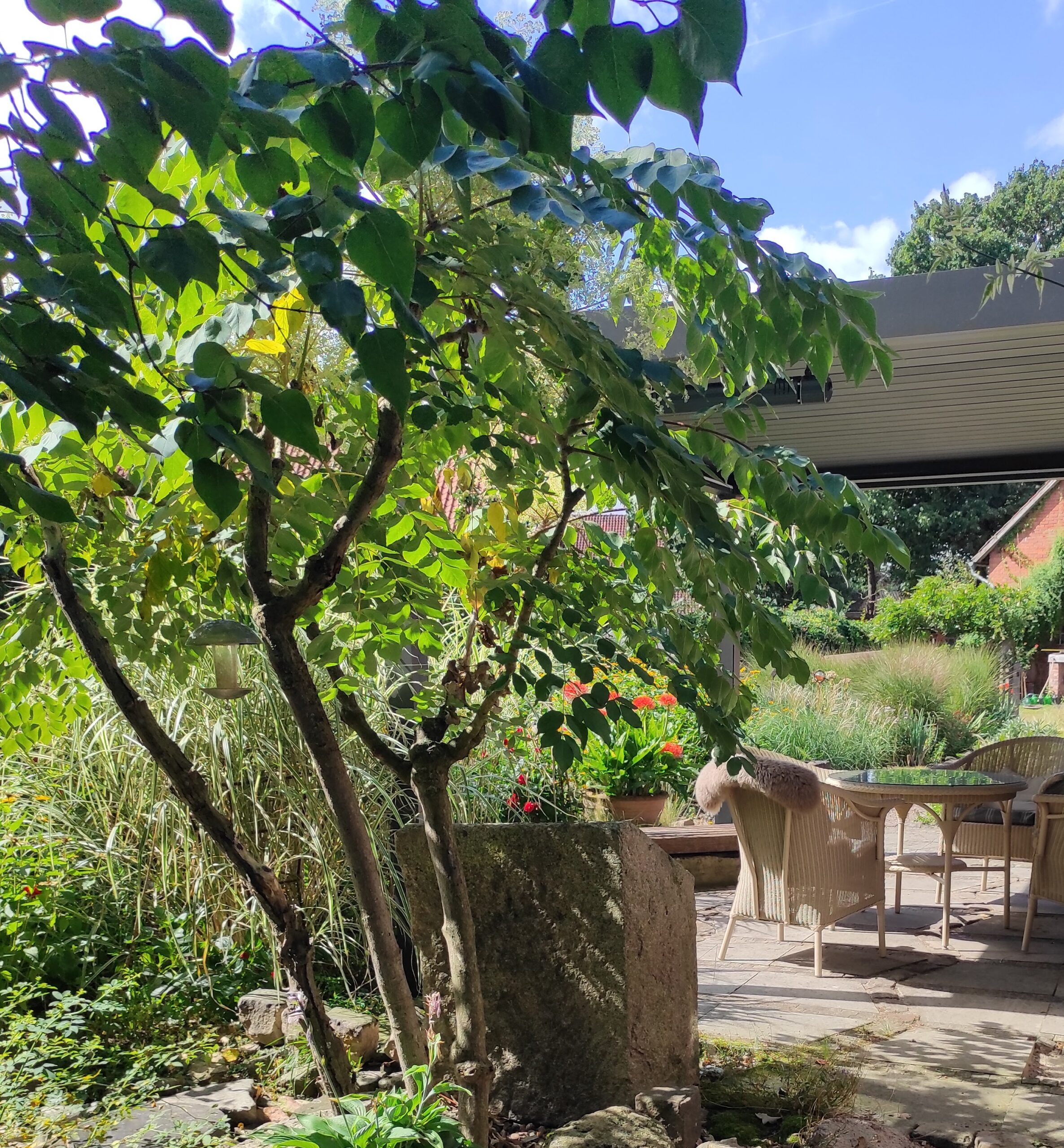LUR2021_3517 | Bauernhof / Mühle /Reiterhof, Garten / Park, Halle – Bild 10
