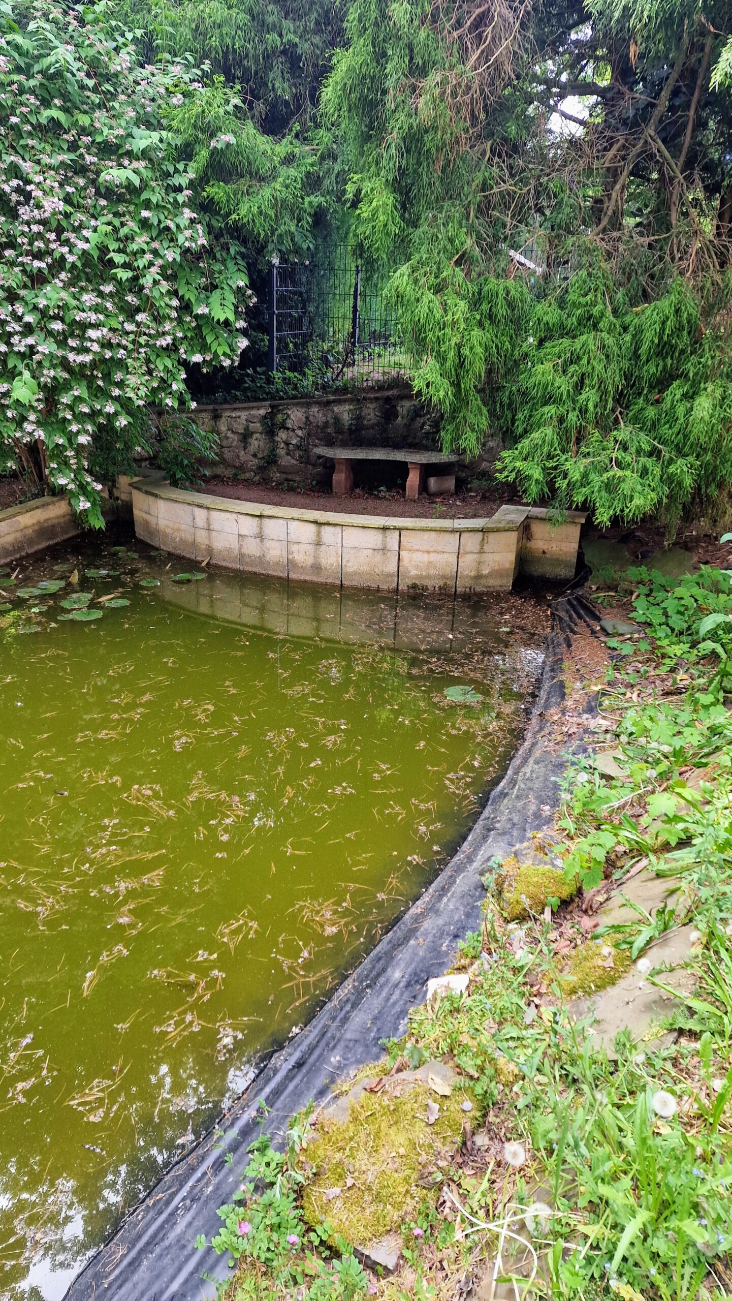 LUR2021_3557 | Garten / Park, Ruine / Lost place, Sonstiges, Villa – Bild 7