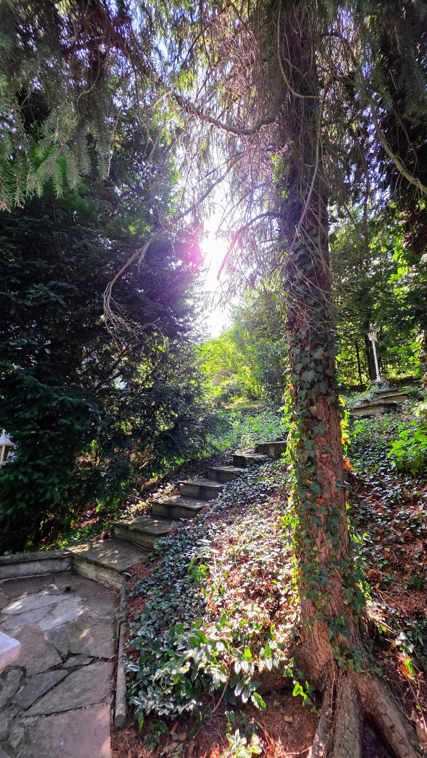 LUR2021_3557 | Garten / Park, Ruine / Lost place, Sonstiges, Villa – Bild 5