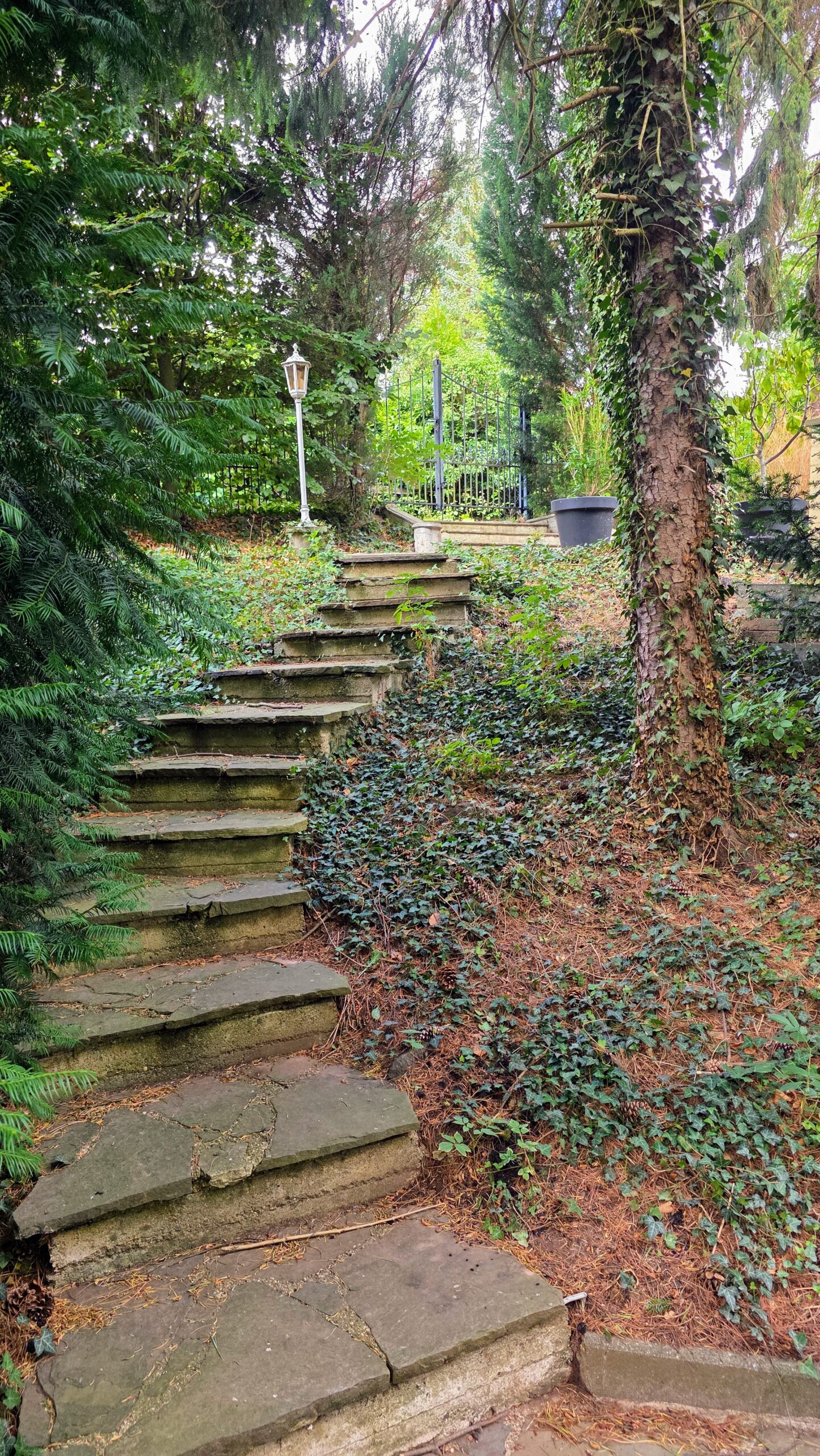 LUR2021_3557 | Garten / Park, Ruine / Lost place, Sonstiges, Villa – Bild 4